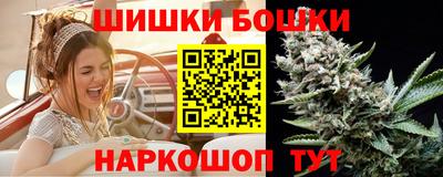 стафф Лесосибирск