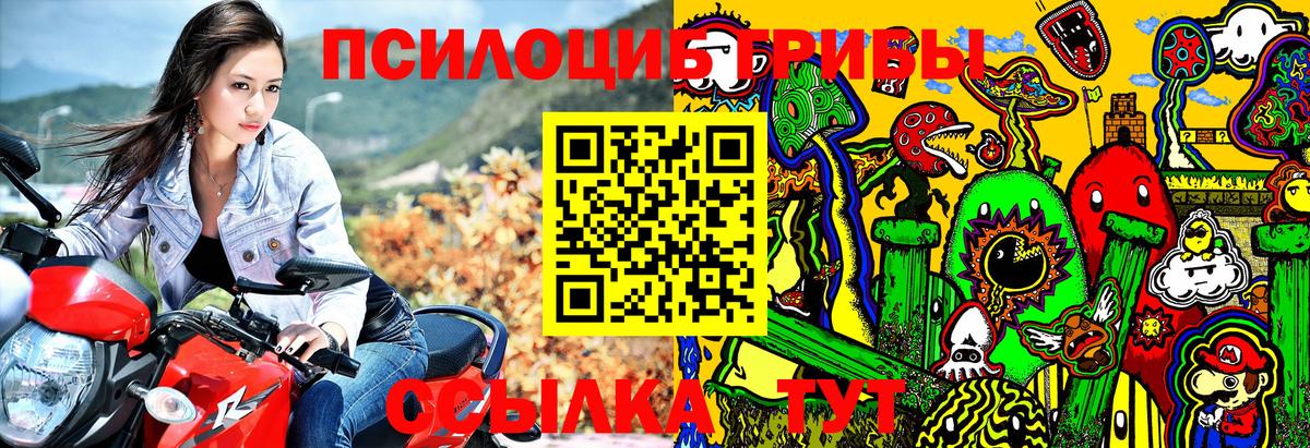 Галлюциногенные грибы GOLDEN TEACHER Ижевск